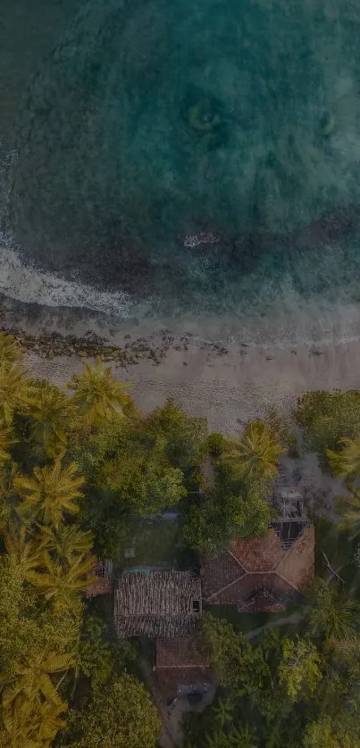 Aerial view of a tropical beach with a hidden lion face in the ocean waves.