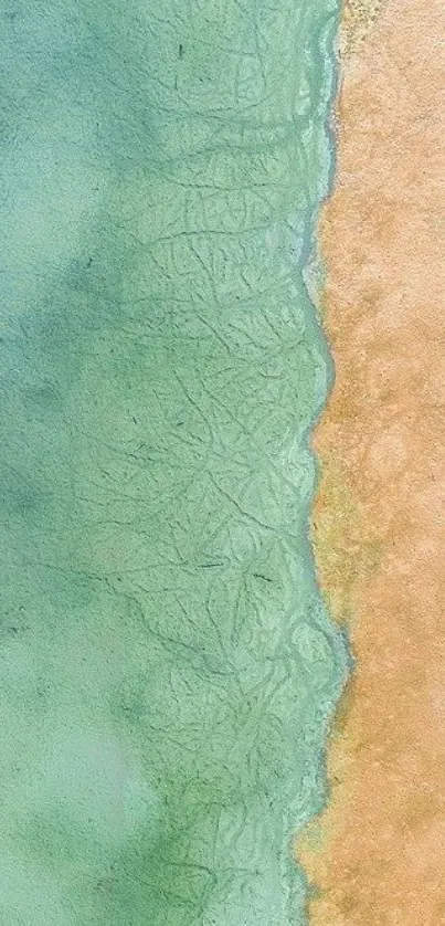 Aerial view of serene beach textures in turquoise and sandy hues.