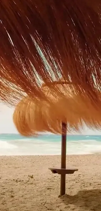 Beach parasol and ocean view with sandy shores.