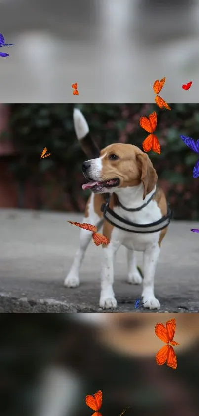 Beagle with vibrant orange and purple butterflies.