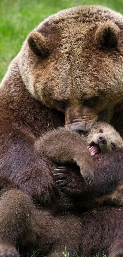 Heartwarming bear and cub in nature mobile wallpaper.