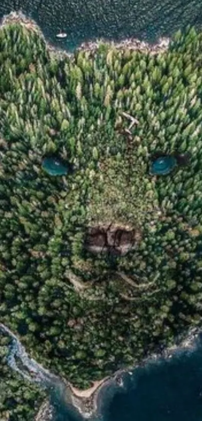 Aerial view of bear-shaped forest by the sea, unique nature art.