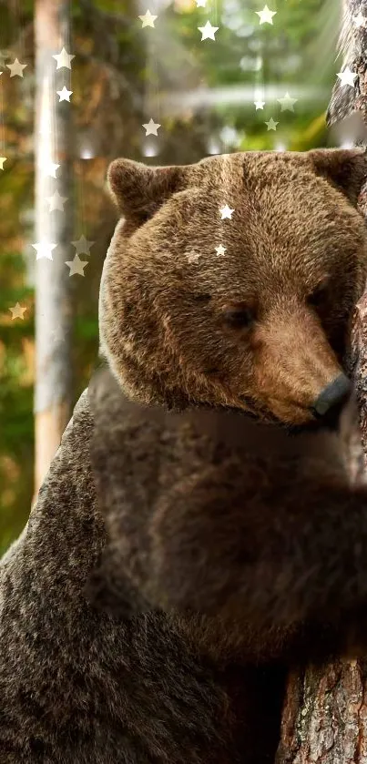 A brown bear hugging a tree with stars in a forest.