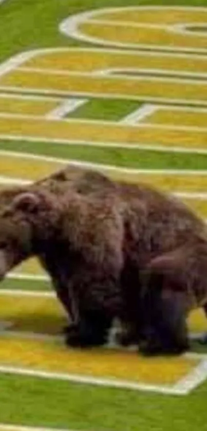 Bear stands on a green sports field with white and yellow lines.