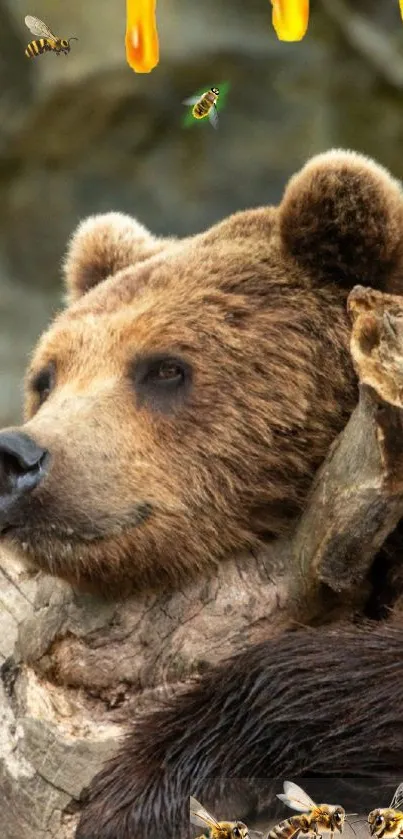 Bear resting against a tree with honey and bees