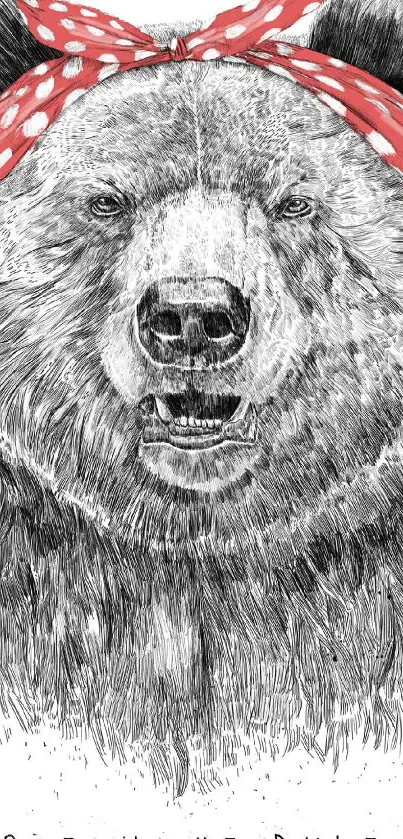 Bear illustration with red bandana, detailed sketch style.