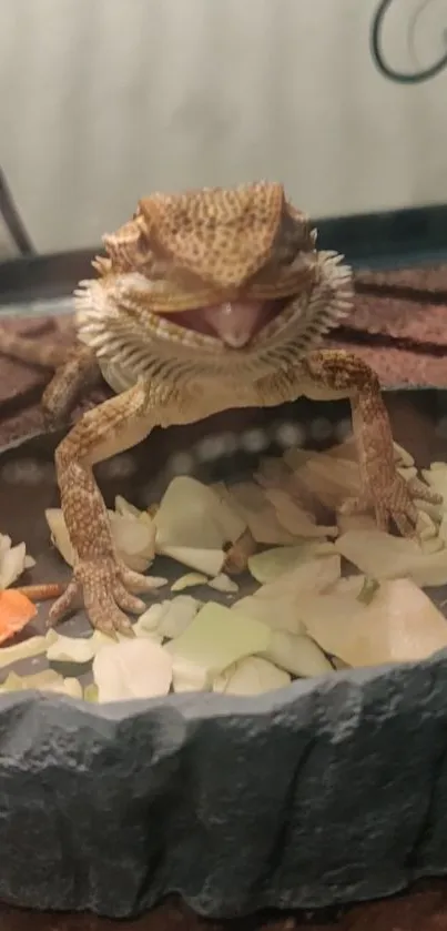 Bearded dragon in a dish surrounded by vegetable pieces.