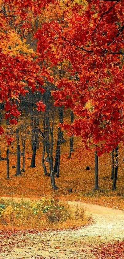 Vibrant autumn forest path with red and orange leaves.