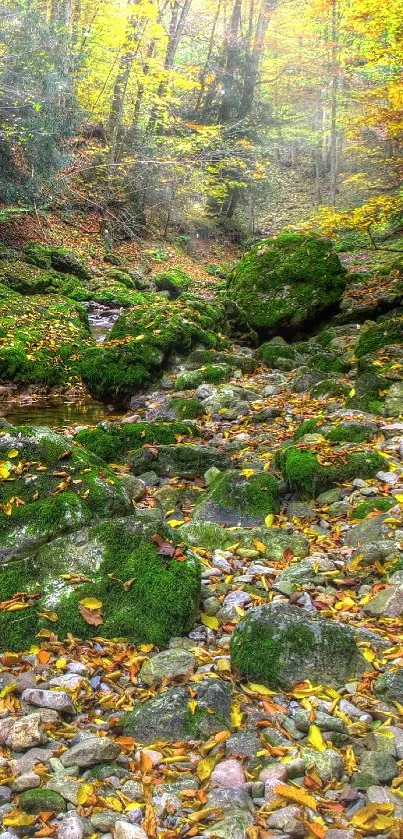 Autumn forest stream with mossy rocks and vibrant foliage.