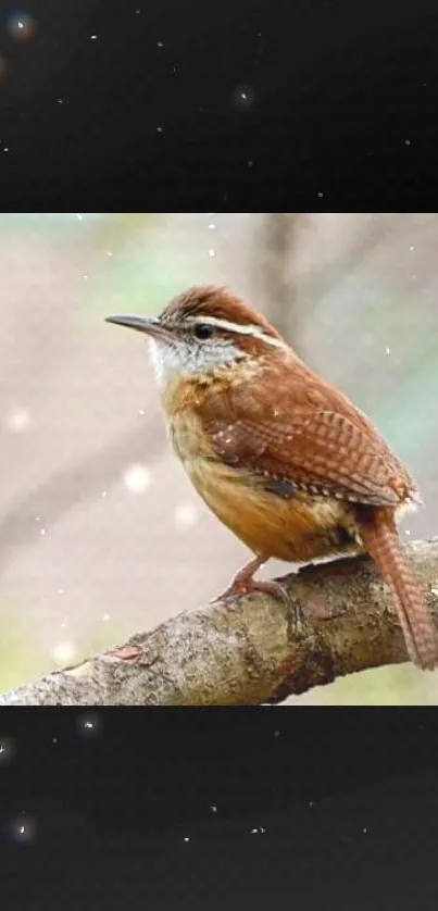 Brown bird perched on natural branch in serene setting.