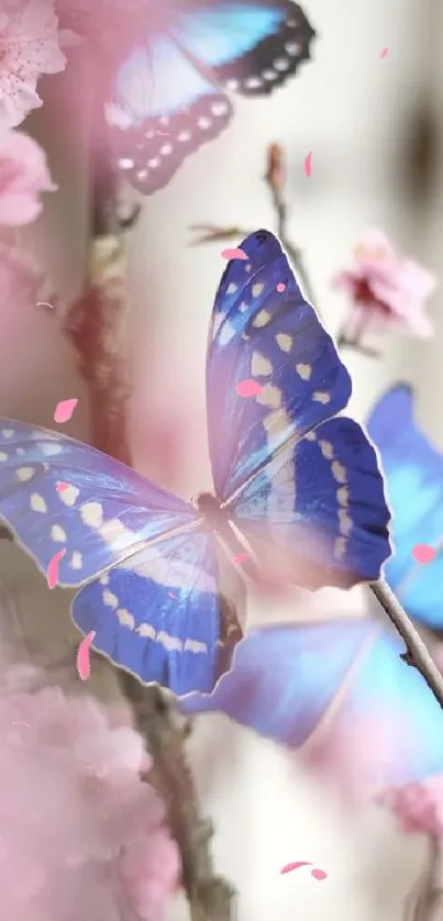 Purple butterfly on blossom branch in soft focus.