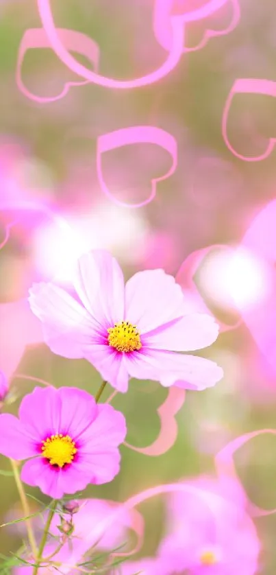 Pink flowers in focus with a blurred background.