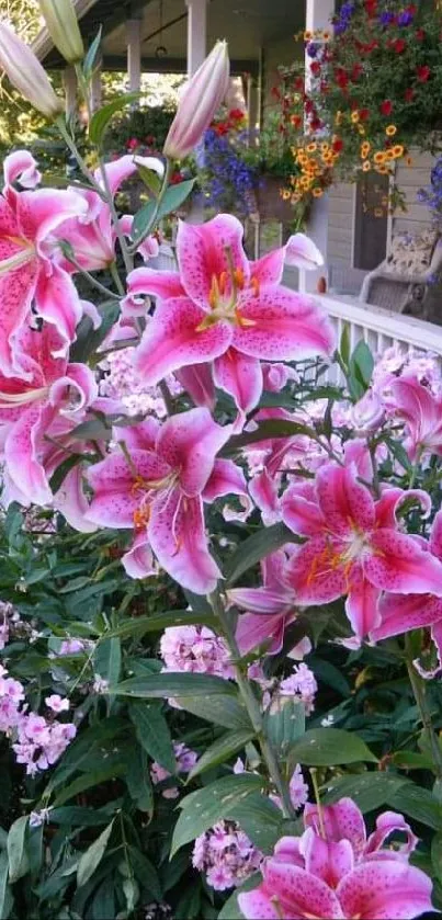 Mobile wallpaper featuring pink lilies blooming vibrantly in a garden.