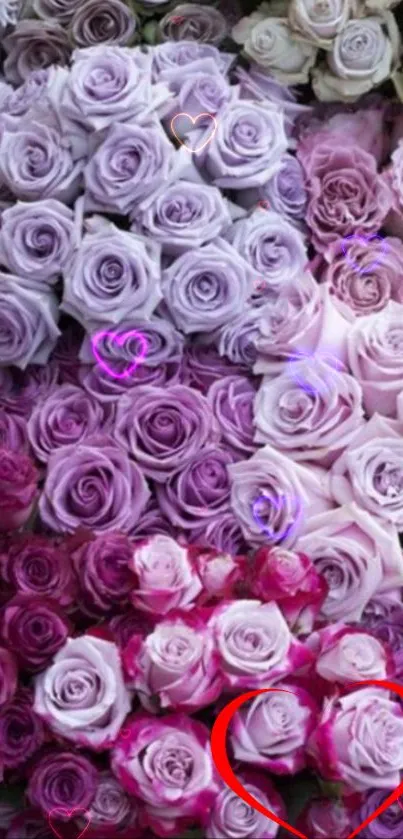 Purple and pink rose wallpaper with heart accents.