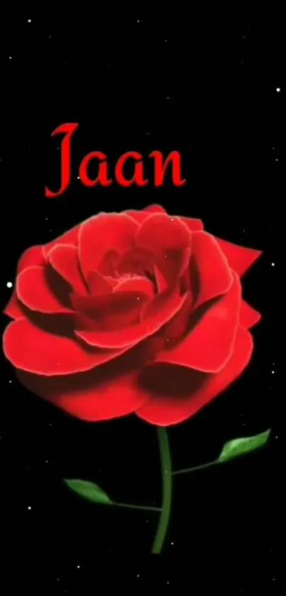 Red rose on a black background with green stem, perfect for a romantic mobile wallpaper.