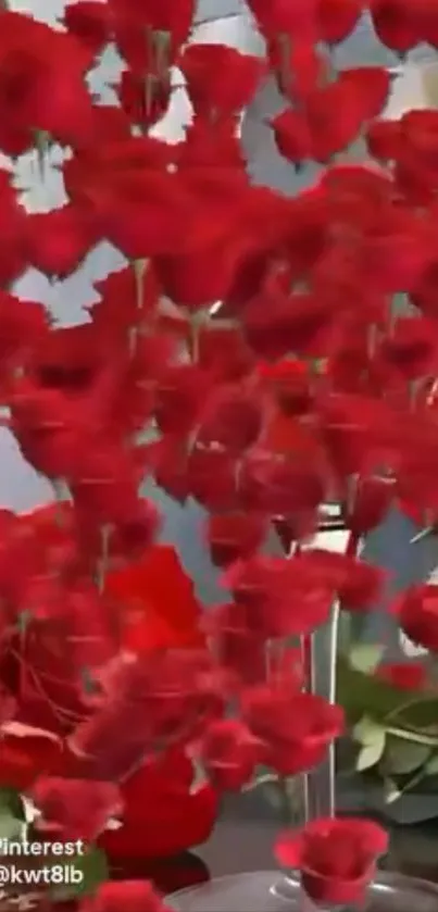 Vibrant red roses arranged artistically.