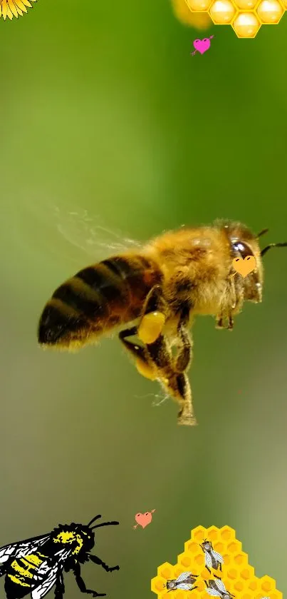 Close-up of a bee flying near honeycombs with a green backdrop.