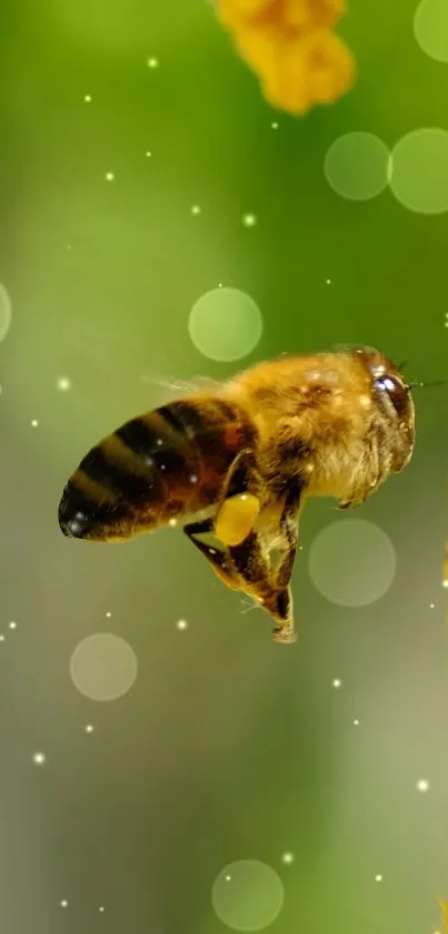 Close-up of a bee flying near yellow flowers with a green background.