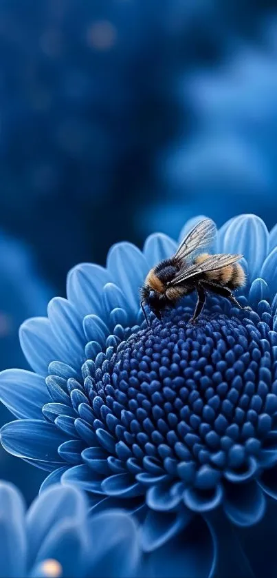 Close-up of a bee on a vibrant blue flower.