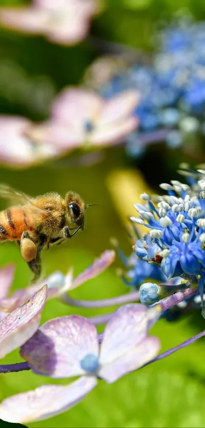 Bee hovering over vibrant flowers with green background.