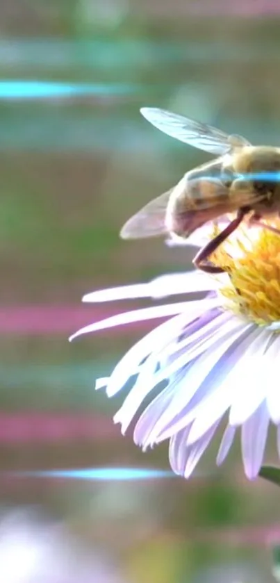 A bee perched on a vibrant daisy flower with a soft green background.