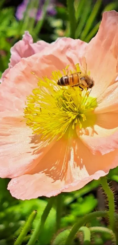 Bee resting on a pink flower in a vibrant garden scene.