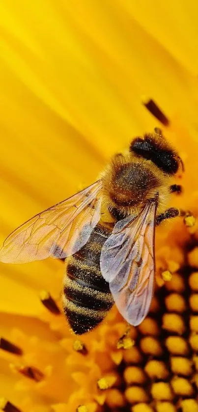 Bee perched on a bright sunflower with detailed textures.