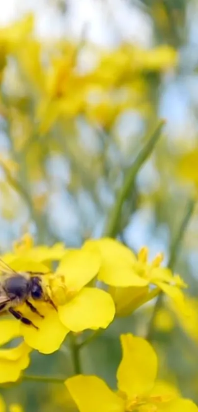 A bee on a vibrant yellow flower with a blurred natural background.