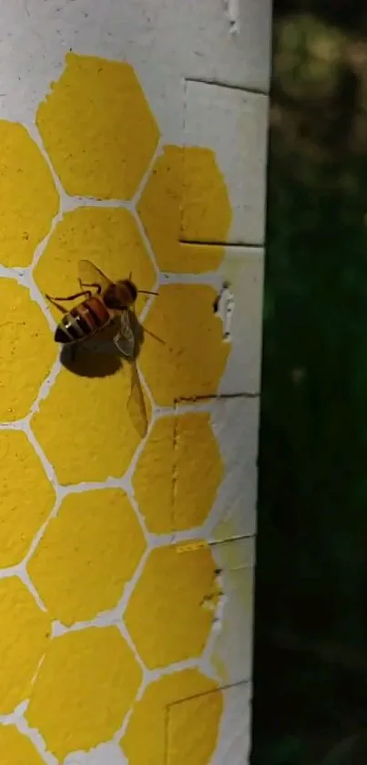 A bee rests on yellow hexagonal patterns against a natural background.