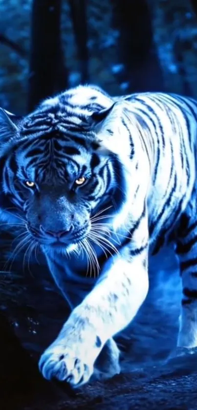 Bengal Tiger Siberian Tiger Tiger Live Wallpaper