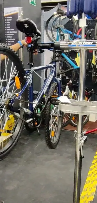 Bicycle shop showing repair area and colorful bike selection.