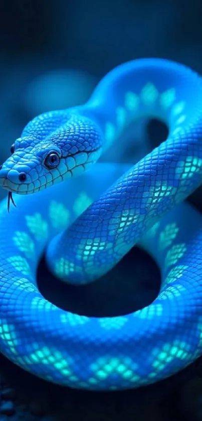 Glowing blue snake with vibrant patterns on a dark background.