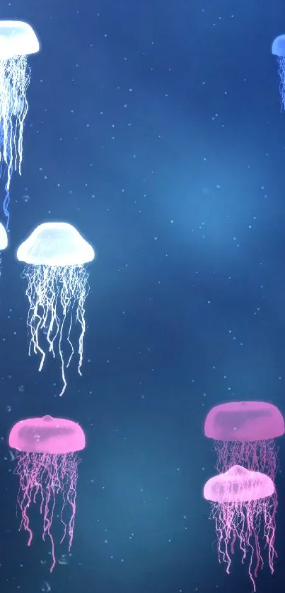 Colorful jellyfish glowing in a blue ocean background wallpaper.