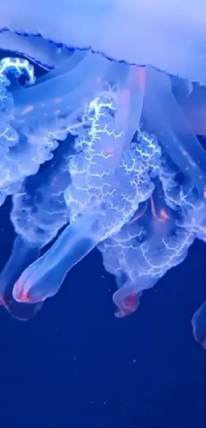 Bioluminescent jellyfish with glowing tendrils in deep blue ocean waters.