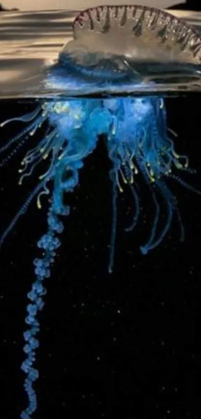 Bioluminescent jellyfish glowing in dark blue waters, ideal for a phone wallpaper.