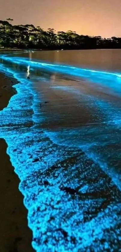 Bioluminescent waves glowing under the night sky on a beach.