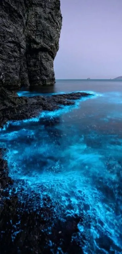 Bioluminescent waves illuminate a rocky coastal night scene.