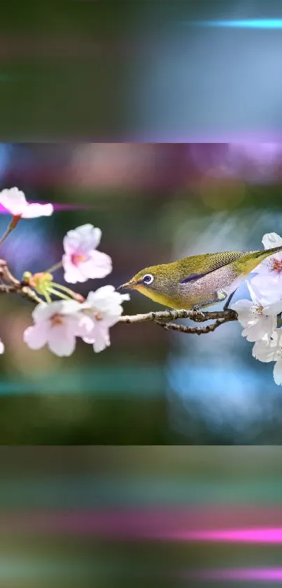 Bird perched on cherry blossom branch with vibrant background.