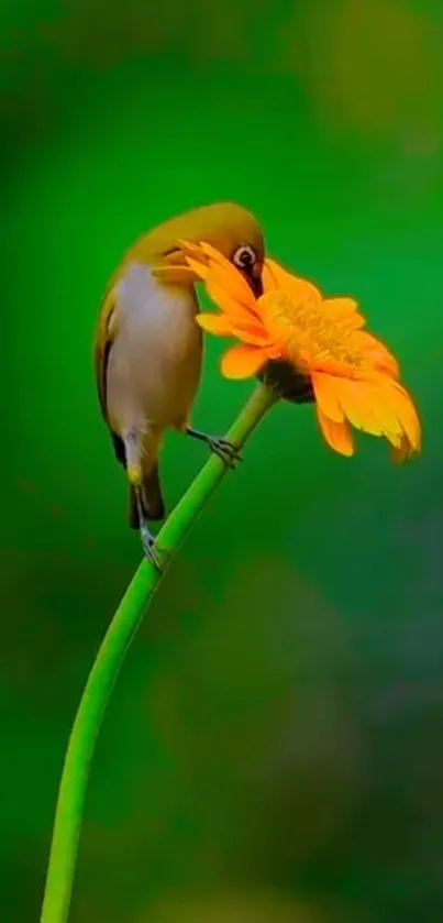 A bird perched on an orange flower against a vibrant green backdrop.