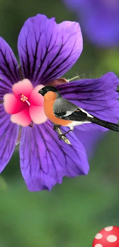 Bird perched on a purple flower with a mushroom in the foreground.