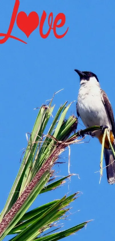 Bird perched on branch with the word 'Love' against a blue sky background.