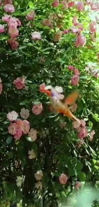 Colorful bird amidst lush pink roses in garden wallpaper.