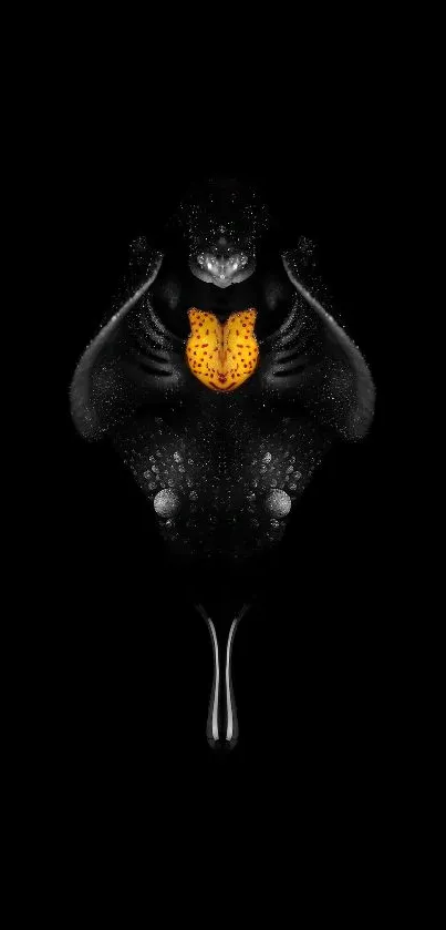 Bird Art Terrestrial Animal Live Wallpaper