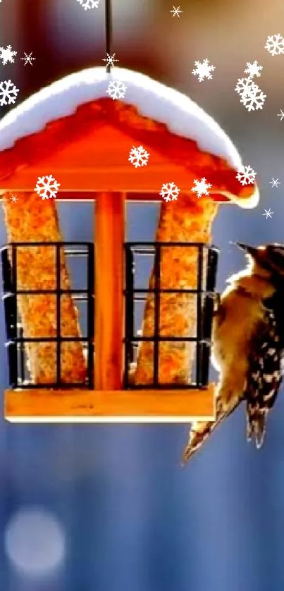 Bird perched on an orange feeder with blue bokeh background.