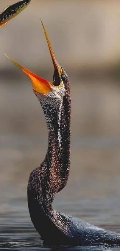 Bird catching fish over water, vivid wildlife display.