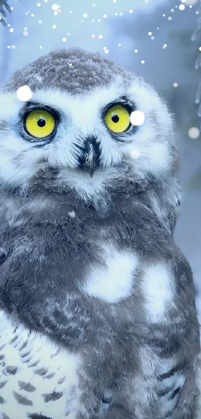 winter uil Live Wallpaper