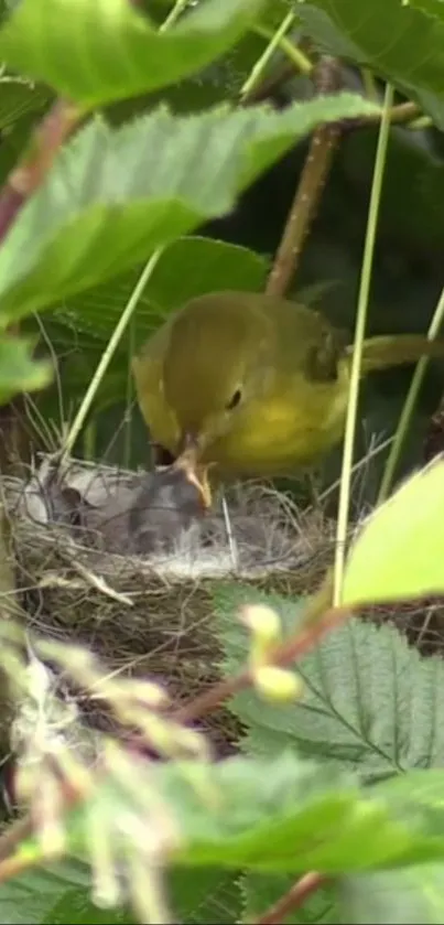 Yellow bird feeding chick in green nest surrounded by lush foliage.