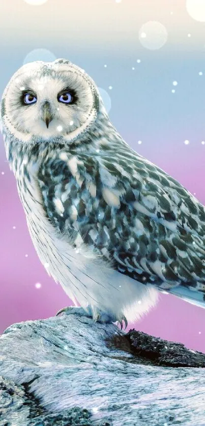 Bird Light Art Live Wallpaper