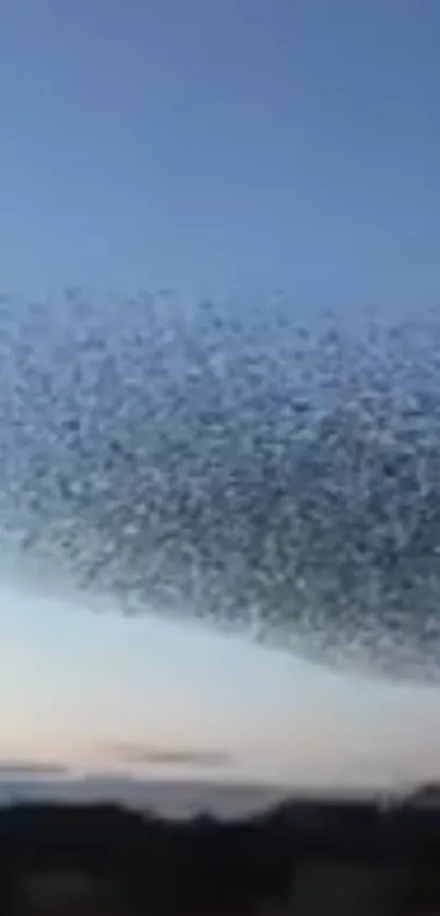 Birds forming patterns under a blue evening sky.