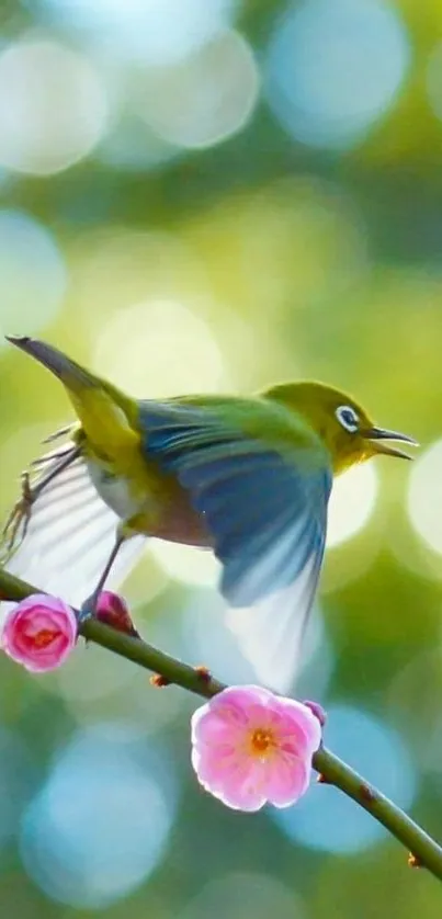 Bird on blooming branch with bokeh background